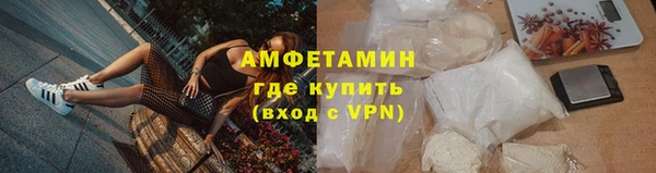 амф Бородино