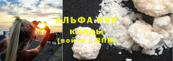 дживик Белая Холуница