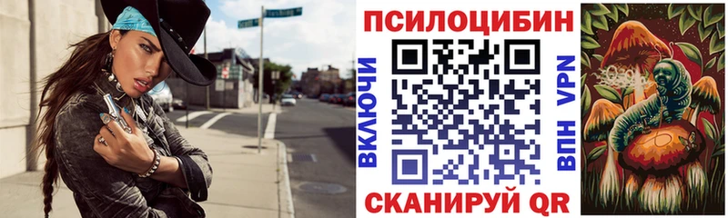 Псилоцибиновые грибы Psilocybe  Гаврилов-Ям 